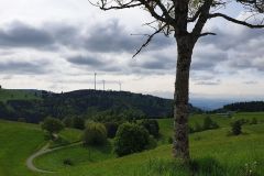 Schwarzwald-2023-Tag2-Tourtag-27