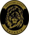 Driving Lions BAVARIA